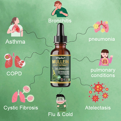 𝗢𝗳𝗳𝗶𝗰𝗶𝗮𝗹 𝗦𝘁𝗼𝗿𝗲:𝗣𝗶𝗴𝘂𝗶𝗮𝘆® 𝗢𝗿𝗴𝗮𝗻𝗶𝗰 𝗟𝘂𝗻𝗴 𝗖𝗹𝗲𝗮𝗻𝘀𝗶𝗻𝗴 𝗠𝘂𝗹𝗹𝗲𝗶𝗻 𝗟𝗲𝗮𝗳 𝗘𝘅𝘁𝗿𝗮𝗰𝘁 𝗗𝗿𝗼𝗽𝘀  𝐂𝐥𝐢𝐧𝐢𝐜𝐚𝐥𝐥𝐲 𝐩𝐫𝐨𝐯𝐞𝐧, 𝐡𝐢𝐠𝐡𝐥𝐲 𝐜𝐨𝐧𝐜𝐞𝐧𝐭𝐫𝐚𝐭𝐞𝐝 𝐟𝐨𝐫𝐦𝐮𝐥𝐚 𝐭𝐡𝐚𝐭 𝐫𝐞𝐥𝐢𝐞𝐯𝐞𝐬 𝐜𝐨𝐮𝐠𝐡, 𝐩𝐡𝐥𝐞𝐠𝐦, 𝐚𝐬𝐭𝐡𝐦𝐚 & 𝐂𝐎𝐏𝐃 — 𝐛𝐫𝐞𝐚𝐭𝐡𝐞 𝐞𝐚𝐬𝐢𝐞𝐫, 𝐟𝐚𝐬𝐭𝐞𝐫.🎁