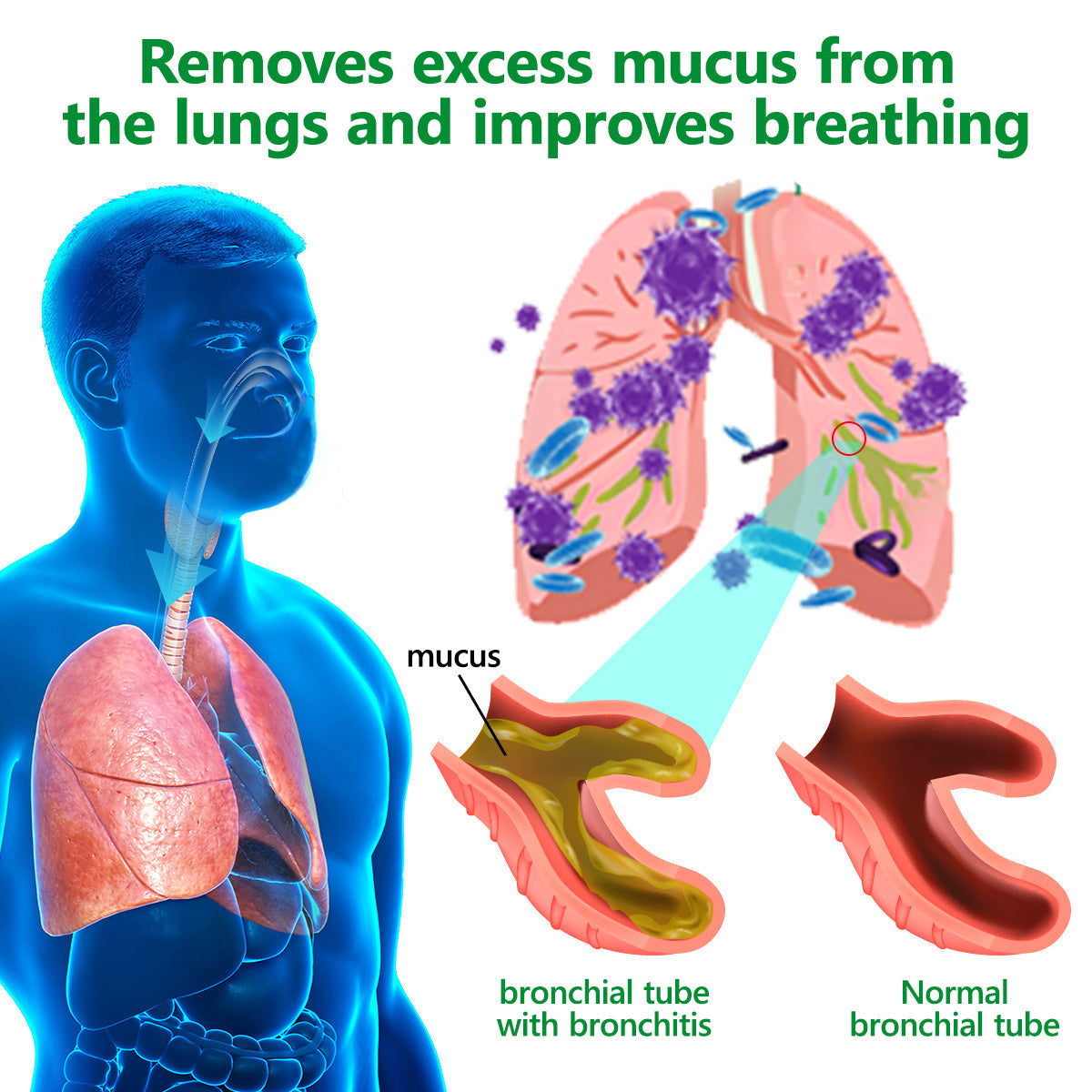 𝗢𝗳𝗳𝗶𝗰𝗶𝗮𝗹 𝗦𝘁𝗼𝗿𝗲:𝗣𝗶𝗴𝘂𝗶𝗮𝘆® 𝗢𝗿𝗴𝗮𝗻𝗶𝗰 𝗟𝘂𝗻𝗴 𝗖𝗹𝗲𝗮𝗻𝘀𝗶𝗻𝗴 𝗠𝘂𝗹𝗹𝗲𝗶𝗻 𝗟𝗲𝗮𝗳 𝗘𝘅𝘁𝗿𝗮𝗰𝘁 𝗗𝗿𝗼𝗽𝘀  𝐂𝐥𝐢𝐧𝐢𝐜𝐚𝐥𝐥𝐲 𝐩𝐫𝐨𝐯𝐞𝐧, 𝐡𝐢𝐠𝐡𝐥𝐲 𝐜𝐨𝐧𝐜𝐞𝐧𝐭𝐫𝐚𝐭𝐞𝐝 𝐟𝐨𝐫𝐦𝐮𝐥𝐚 𝐭𝐡𝐚𝐭 𝐫𝐞𝐥𝐢𝐞𝐯𝐞𝐬 𝐜𝐨𝐮𝐠𝐡, 𝐩𝐡𝐥𝐞𝐠𝐦, 𝐚𝐬𝐭𝐡𝐦𝐚 & 𝐂𝐎𝐏𝐃 — 𝐛𝐫𝐞𝐚𝐭𝐡𝐞 𝐞𝐚𝐬𝐢𝐞𝐫, 𝐟𝐚𝐬𝐭𝐞𝐫.🎁